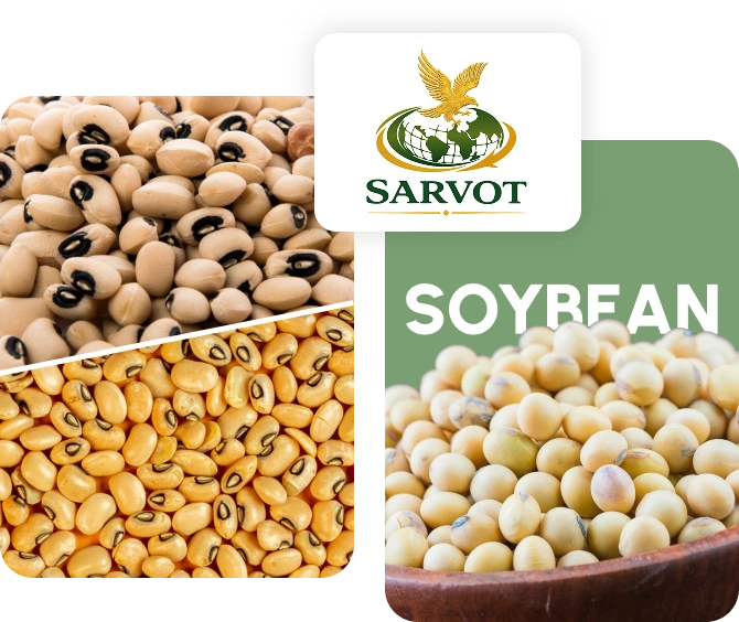 Soyabean