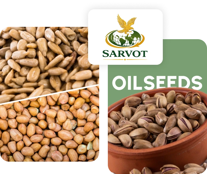 Oilseeds